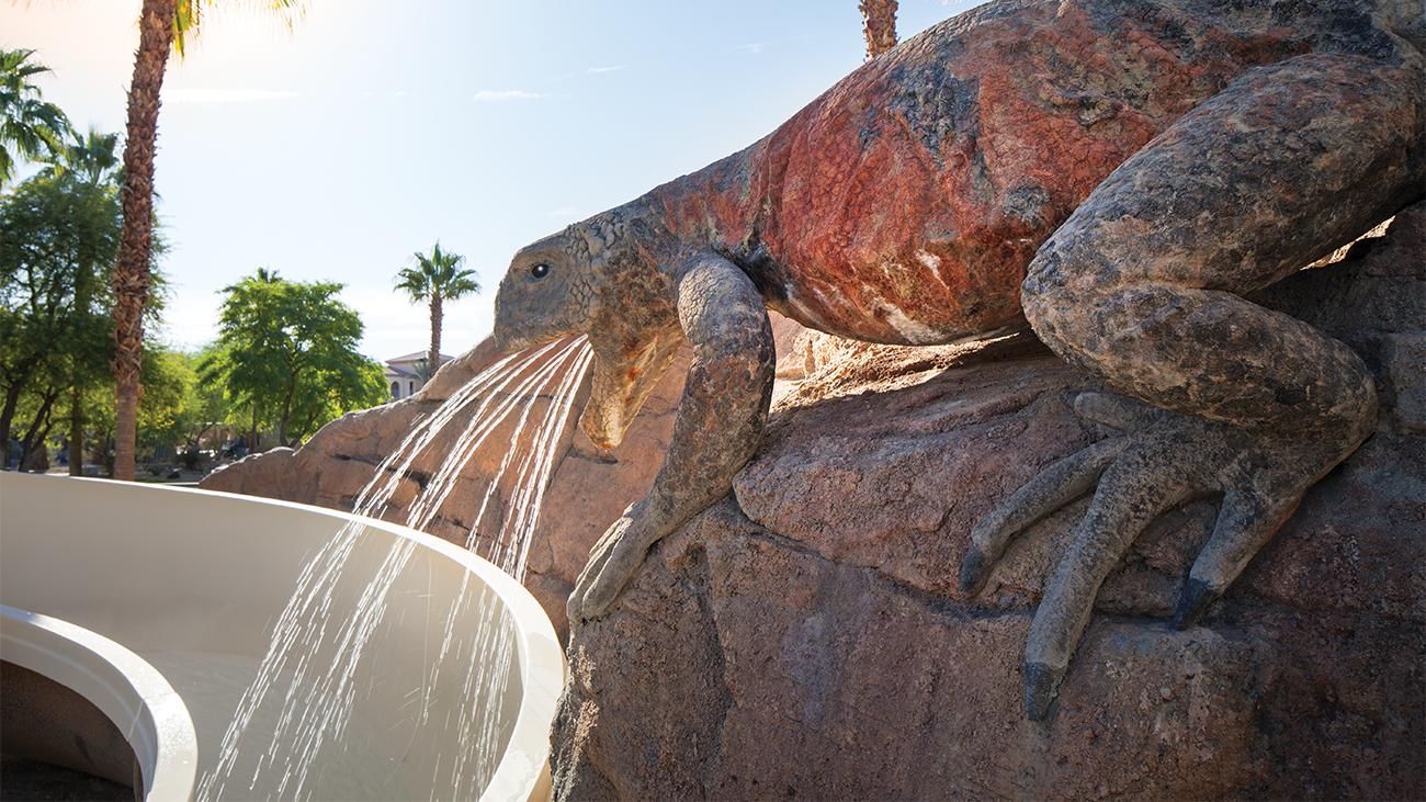Chuckwalla Slide